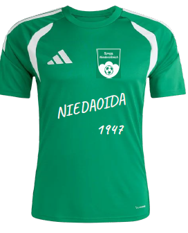 Fanshirt