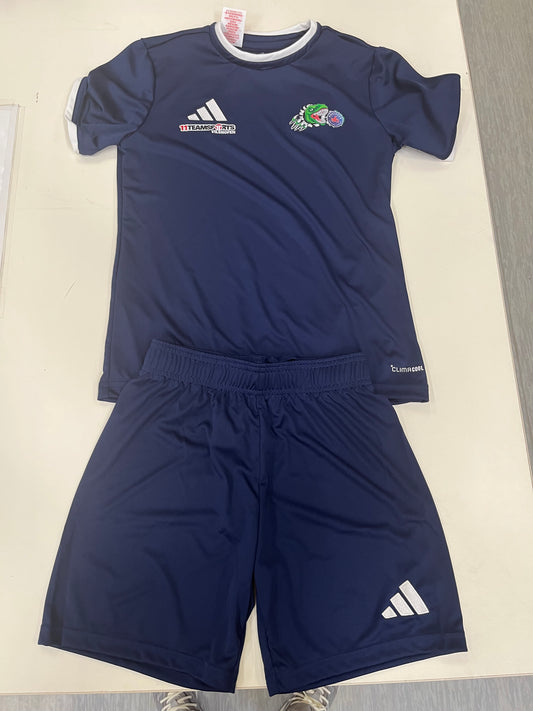 Trikot-Set (MFS Dinoliga Elite)