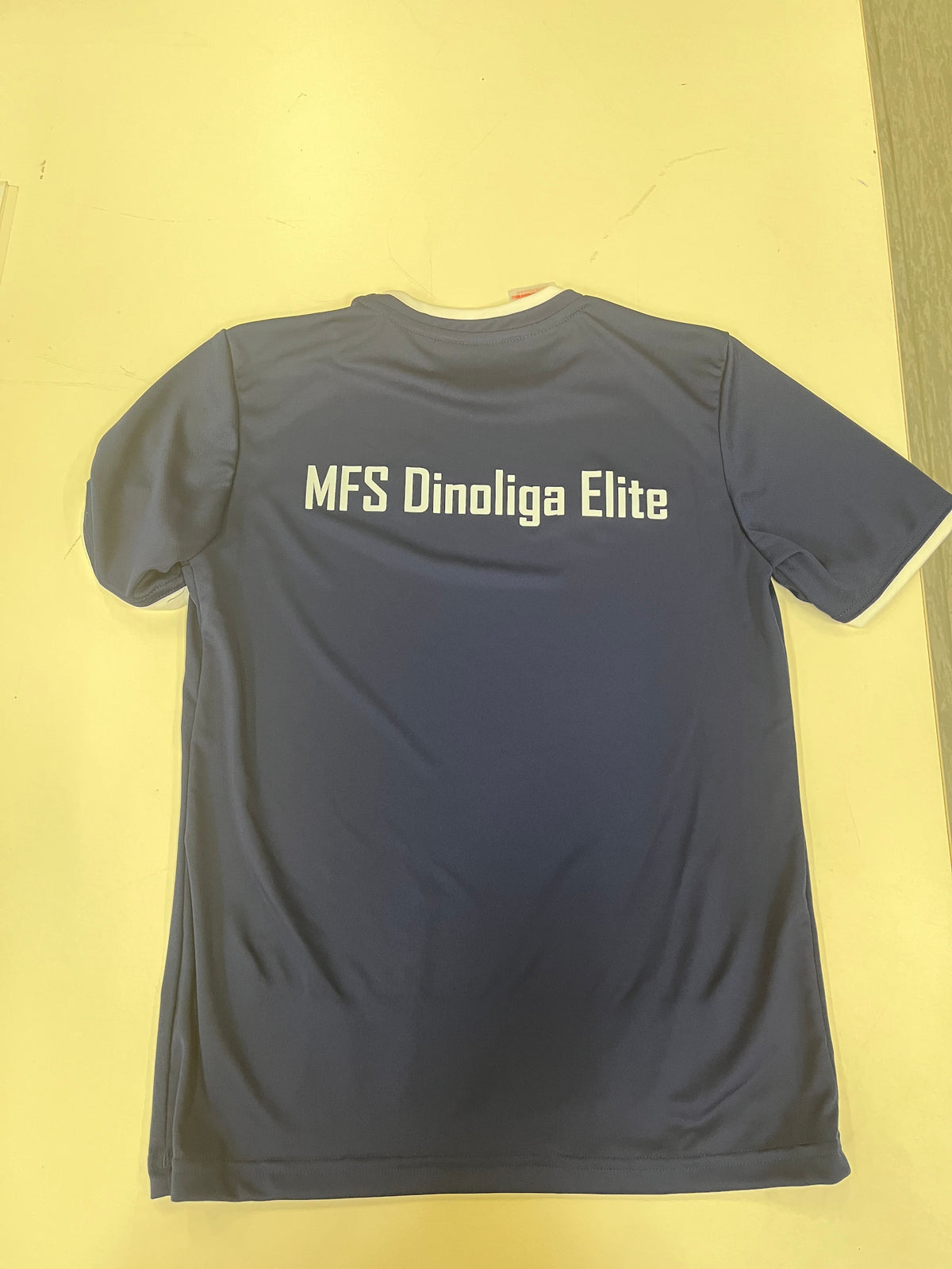 Trikot-Set (MFS Dinoliga Elite)